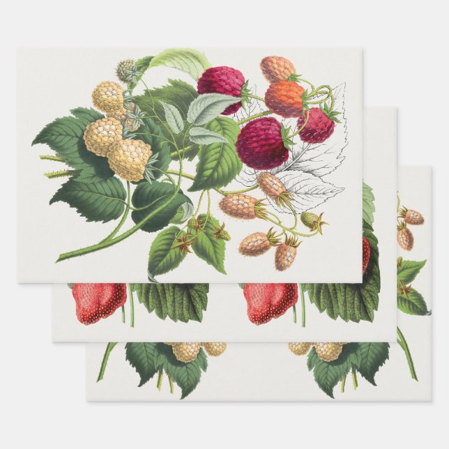 Vintage Erdbeere Geschenkpapier Set (Set)