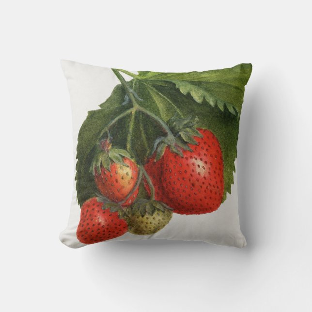 Vintage Erdbeere Kissen (Vorderseite)