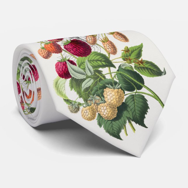 Vintage Erdbeere Krawatte (Gerollt)