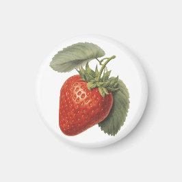 Vintage Erdbeere  Magnet