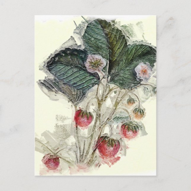 Vintage Erdbeere Pflanze und Blüten Postkarte (Vorderseite)