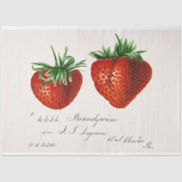 Vintage Erdbeere Seidenpapier
