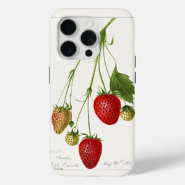 Vintage Erdbeeren Case-Mate iPhone Hülle