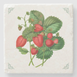Vintage-Erdbeeren-Fruchtillustration Steinuntersetzer