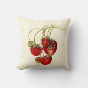 Vintage Erdbeeren Zeichnend Art Kissen