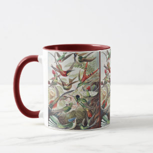 Vintage Ernst Haeckel Farbposter Kolibri Tasse