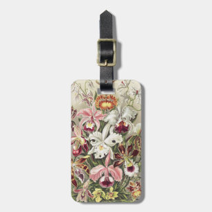 Vintage Ernst Haeckel Orchideen Botanischer Druck Gepäckanhänger