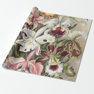 Vintage Ernst Haeckel Orchideen Botanischer Druck Geschenkpapier
