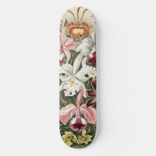 Vintage Ernst Haeckel Orchideen Botanischer Druck Skateboard