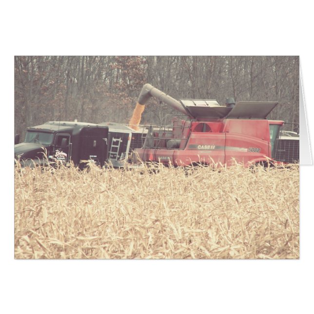 Vintage Ernte (Vorderseite (Horizontal))