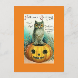 Vintage Eule auf Kürbis Halloween Postkarte