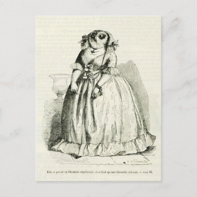 Vintage Eule Postkarte (Vorderseite)