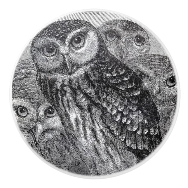 Vintage Eulenschwarzweiss-kunst Keramikknauf (Vorderseite)