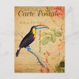 Vintage exotischer tropischer Tukan-Vogel Blumen f Postkarte