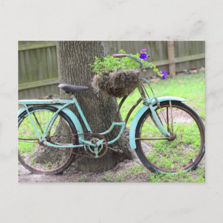 Vintage-Fahrrad-Blumenkorb  Fahrrad im Garten Postkarte
