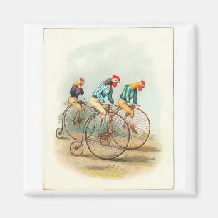 Vintage Fahrradposter, Pennyfarthing-Hähne Magnet