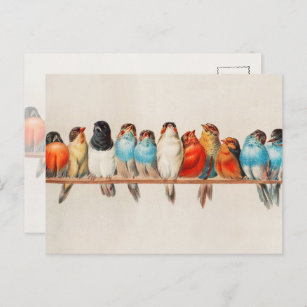 Vintage farbenfrohe Vögel Wasserfarbe Natur Postkarte