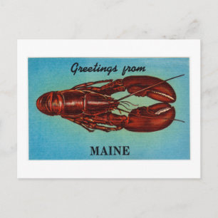 Vintage Farbige Grüße aus Maine Lobster Postkarte