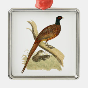 Vintage Fasan auf Ast Jagdvogel Zeichnung Farbe Ornament Aus Metall