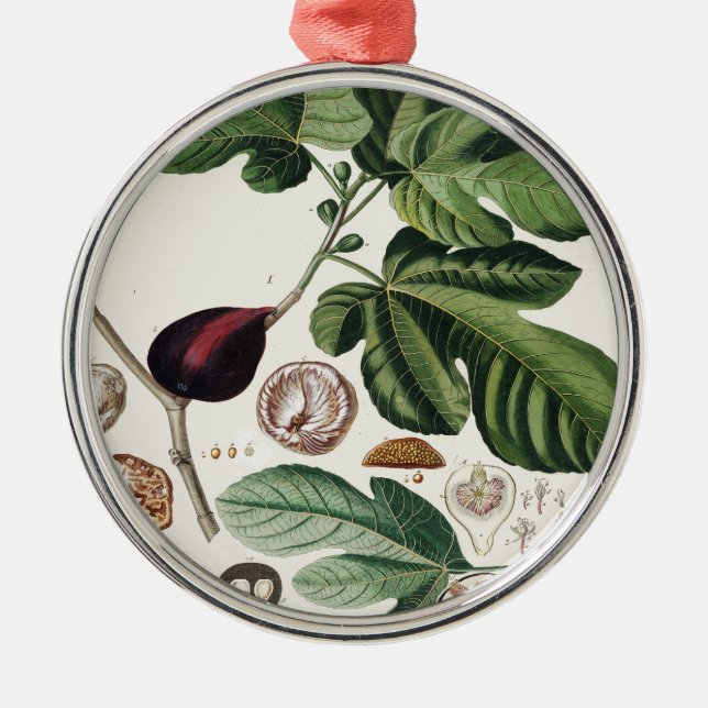 Vintage Feigen-botanischer Druck Ornament Aus Metall (Vorne)