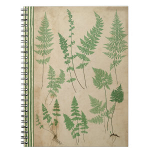 Vintage Fern Carnet botanique Nature Journal