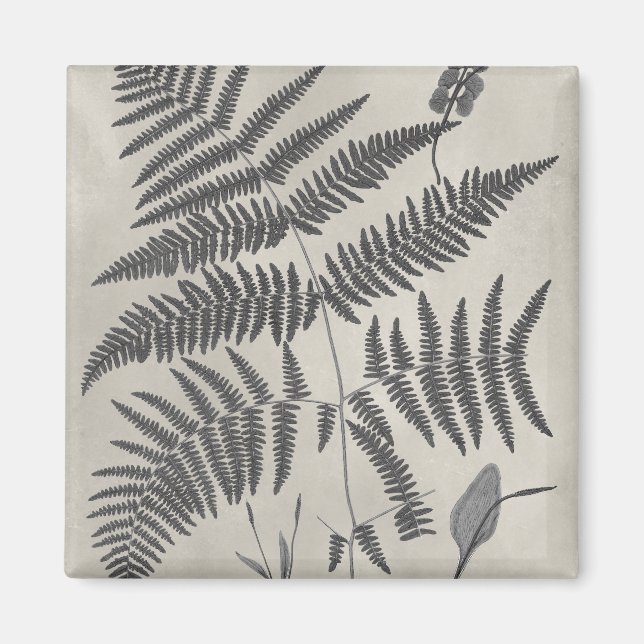 Vintage Ferns Magnet (Vorne)