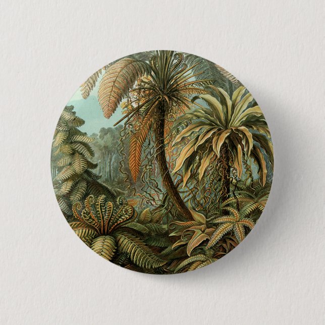 Vintage Ferns Palm Tree Botanischer Zeichn Button (Vorderseite)