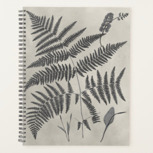 Vintage Ferns Planer