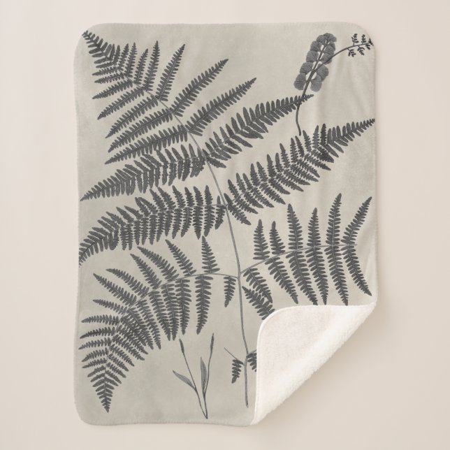 Vintage Ferns Sherpadecke (Vorderseite)