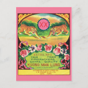 Vintage Feuerwerkspaket Postkarte