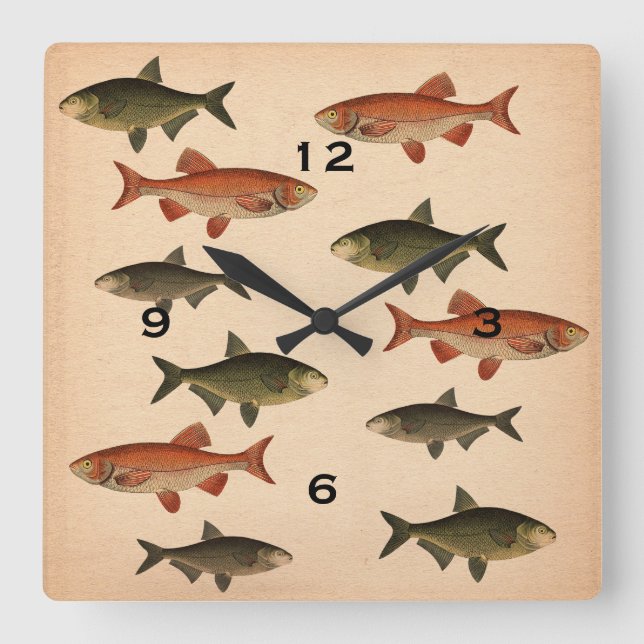 Vintage Fisch-Illustrations-Wand-Uhr Quadratische Wanduhr (Vorderseite)