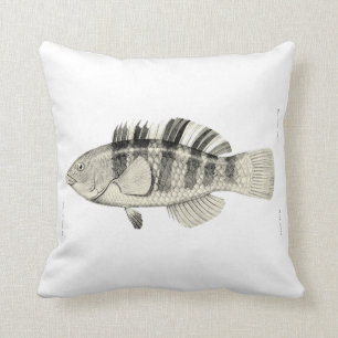 Vintage Fische der Wissenschafts-NZ - mit einem Kissen