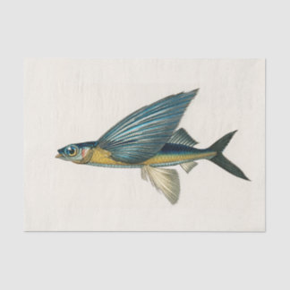 Vintage Fischfarbe Seidenpapier