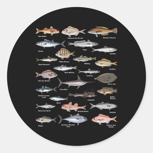 Vintage Fischkennungsdiagramme Runder Aufkleber (Vorderseite)