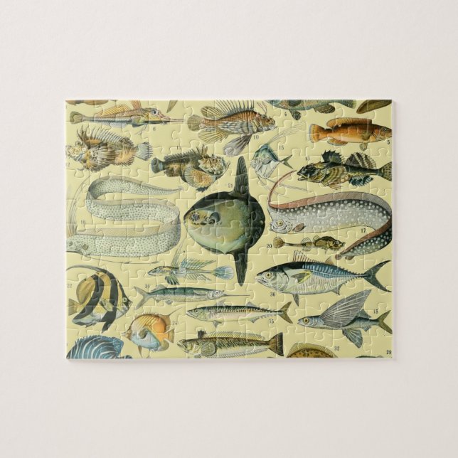 Vintage Fish Scientific Fishing Art (Horizontal)