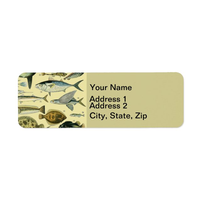 Vintage Fish Scientific Fishing Art (Vorne)