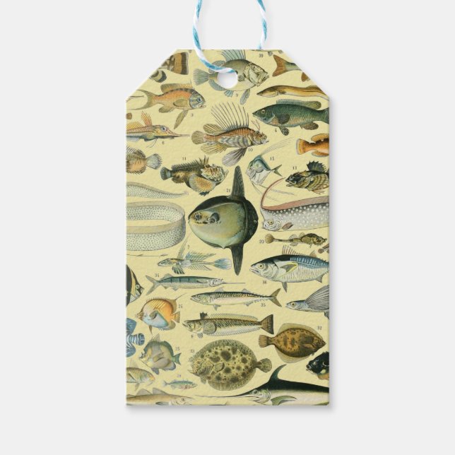 Vintage Fish Scientific Fishing Art Geschenkanhänger (Vorderseite)