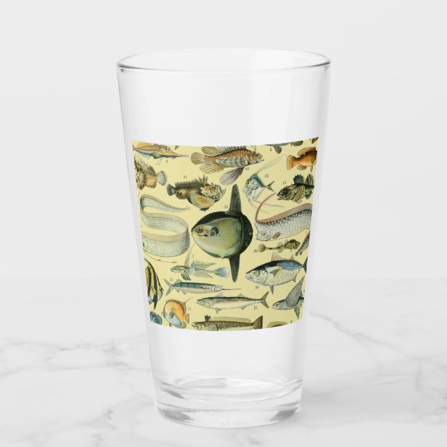 Vintage Fish Scientific Fishing Art Glas (Vorderseite)