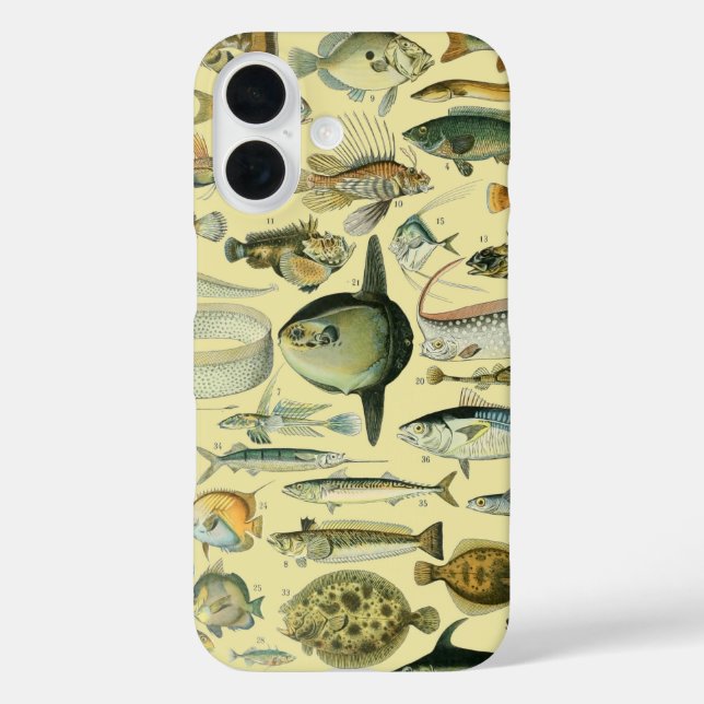 Vintage Fish Scientific Fishing Art iPhone 16 Hülle (Rückseite)