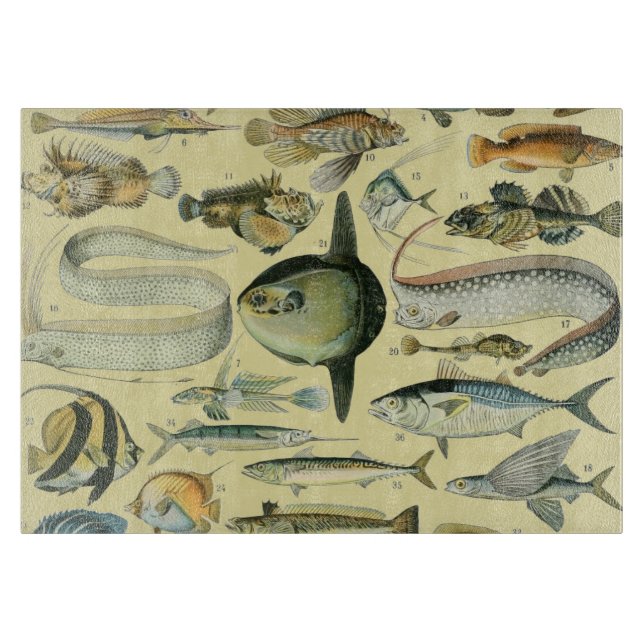 Vintage Fish Scientific Fishing Art Schneidebrett (Vorderseite)