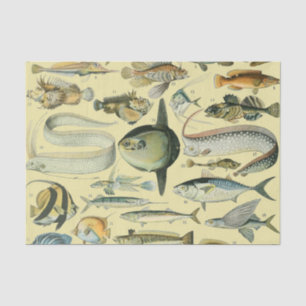 Vintage Fish Scientific Fishing Art Seidenpapier