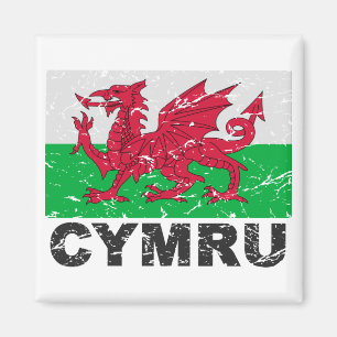 Vintage Flagge Wales CYMRU Magnet
