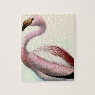 Vintage Flamingo
