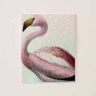 Vintage Flamingo