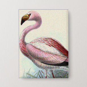 Vintage Flamingo Button