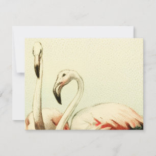 Vintage Flamingo Dankeskarte