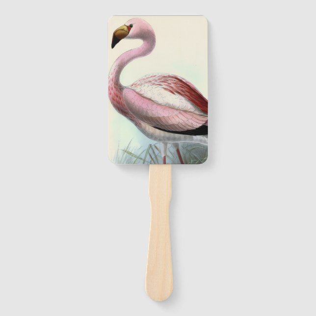 Vintage Flamingo Fächer (Vorderseite)