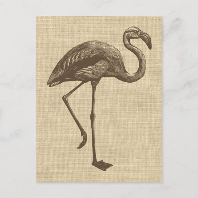 Vintage Flamingo-Illustration auf Burlap Postkarte (Vorderseite)