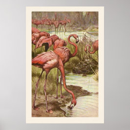 Vintage Flamingo-Illustration Poster