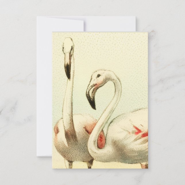 Vintage Flamingo Mitteilungskarte (Vorderseite)